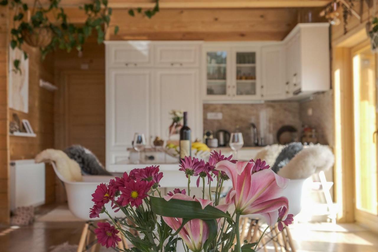 Chalet Kolasin Montenegro Экстерьер фото